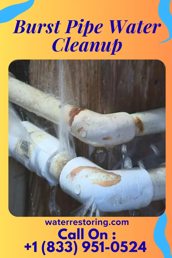 Burst Pipe Water Cleanup in Sands Point, NY