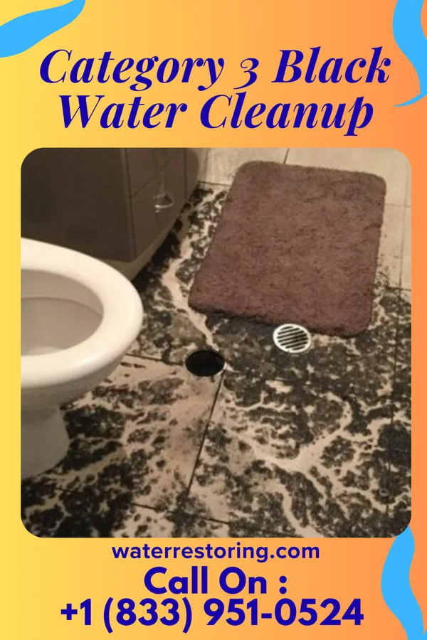 Category 3 Black Water Cleanup in Sands Point, NY