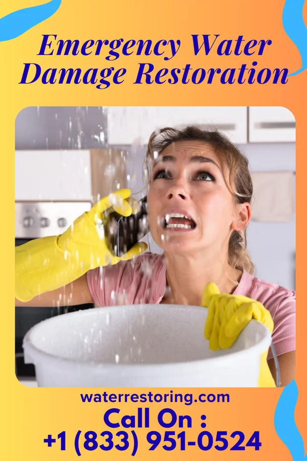 Emergency Water Damage Restoration in Sands Point, NY