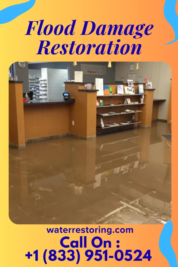 Flood Damage Restoration in Sands Point, NY